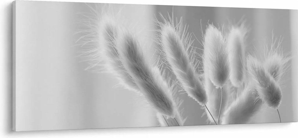 Kép - Nyuszi farok fű (120x50 cm)