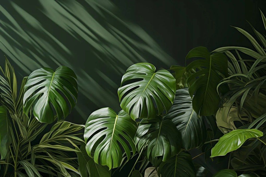 Poszter 60x40cm Suttogó levelek