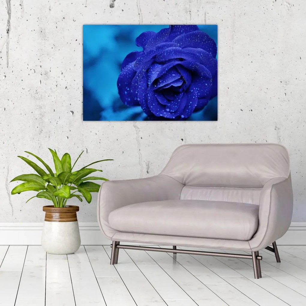 Kék rózsa képe (70x50 cm)