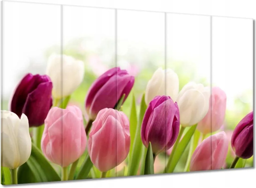 Vászonkép 100x70 Gyönyörű tulipánok