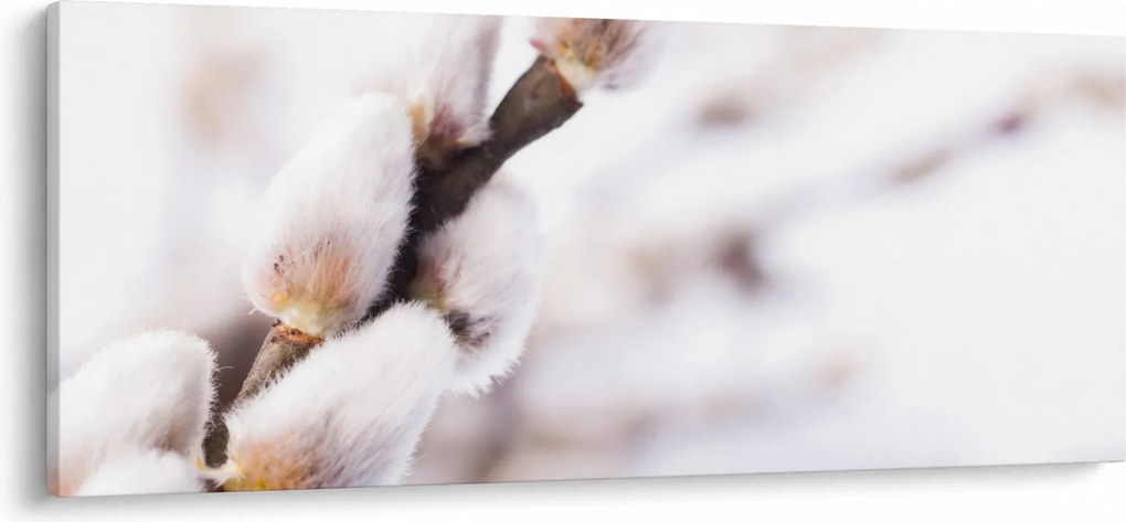 Kép - Macska (120x50 cm)