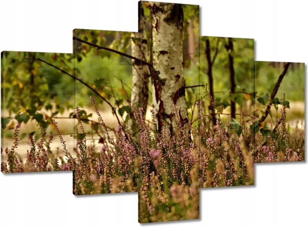 Vászonkép 100x70 Nyírfa a hangák között Erdő