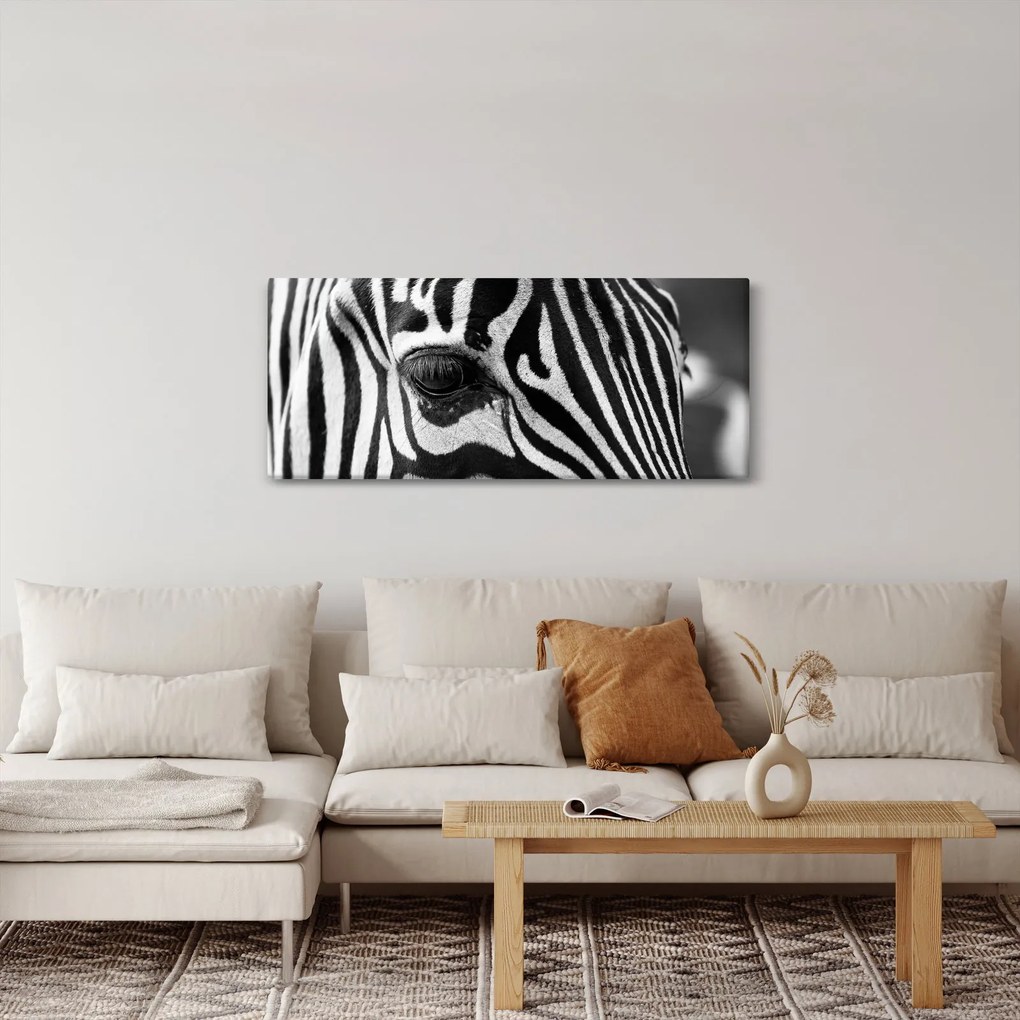 Zebra képe (120x50 cm)