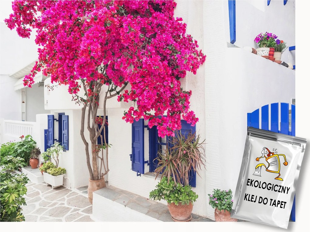 Fotótapéta Flizelina Város Utca Görögország Ház Bokor Virágok 150x105 ragasztó