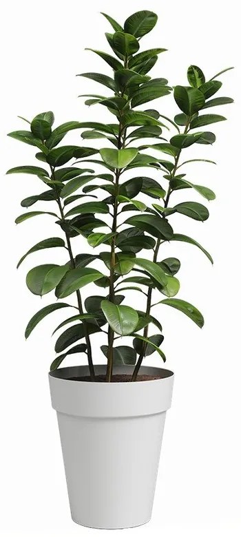 Újrahasznosított műanyag virágcserép ø 40 cm Capri – Artevasi