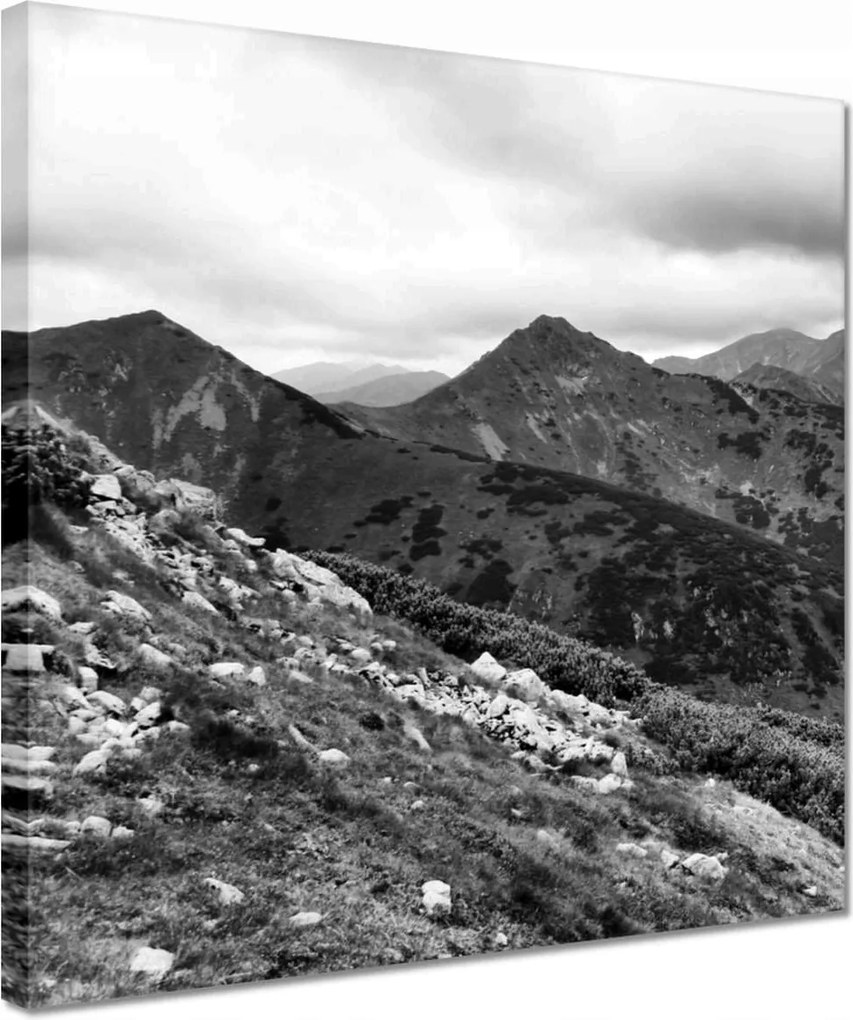 Vászonkép 30x30 Tátra Lengyel hegyek Kilátás