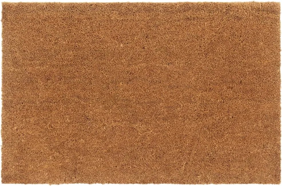 vidaXL ajtószőnyeg Natúr 65x100 cm Tufolt kókuszrost