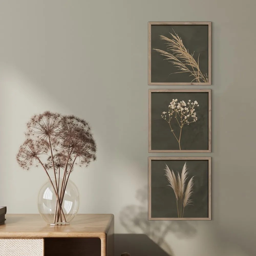 Kép szett 3 db-os 30x30 cm Pampas – Styler
