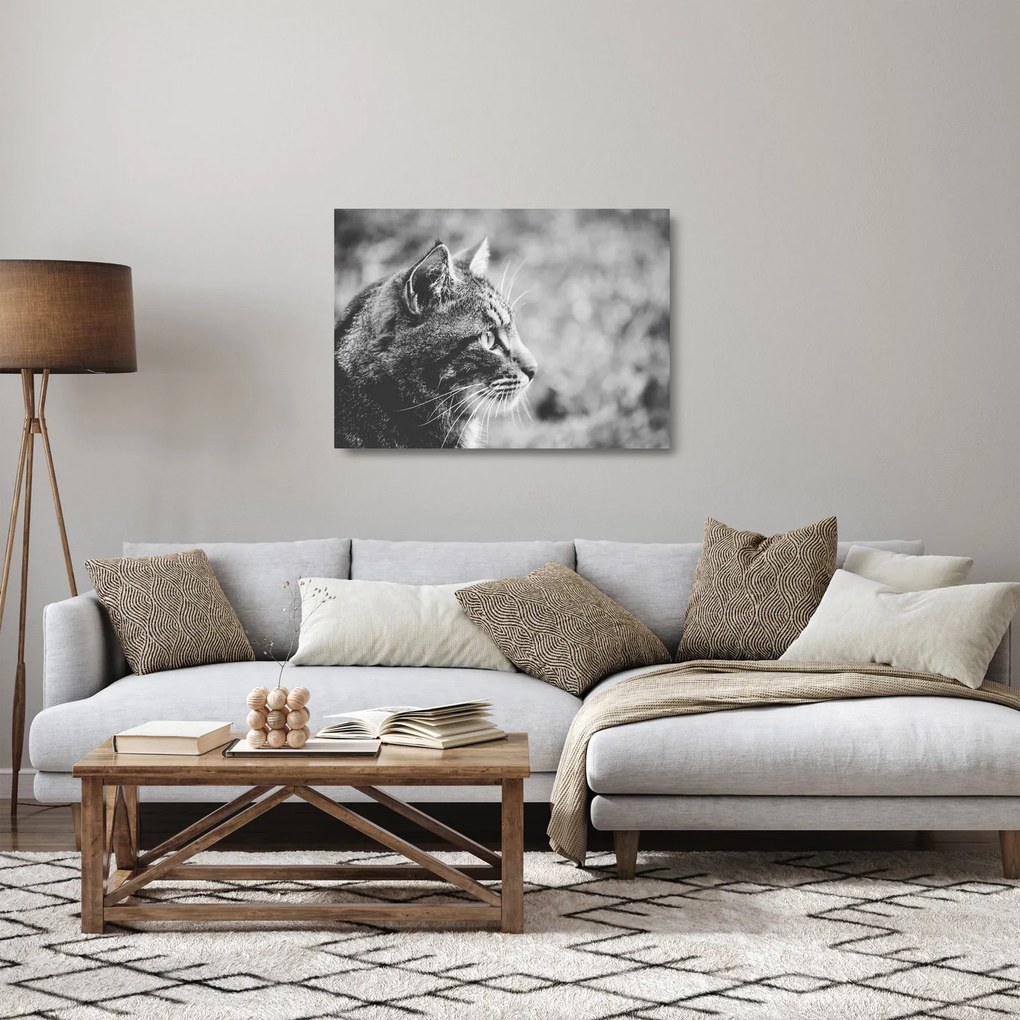 Kép - Macska (üvegen) (70x50 cm)