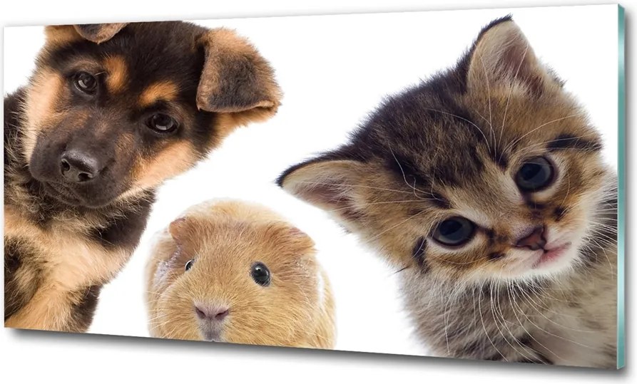 Fotó-üvegkép Háziállatok 100x70