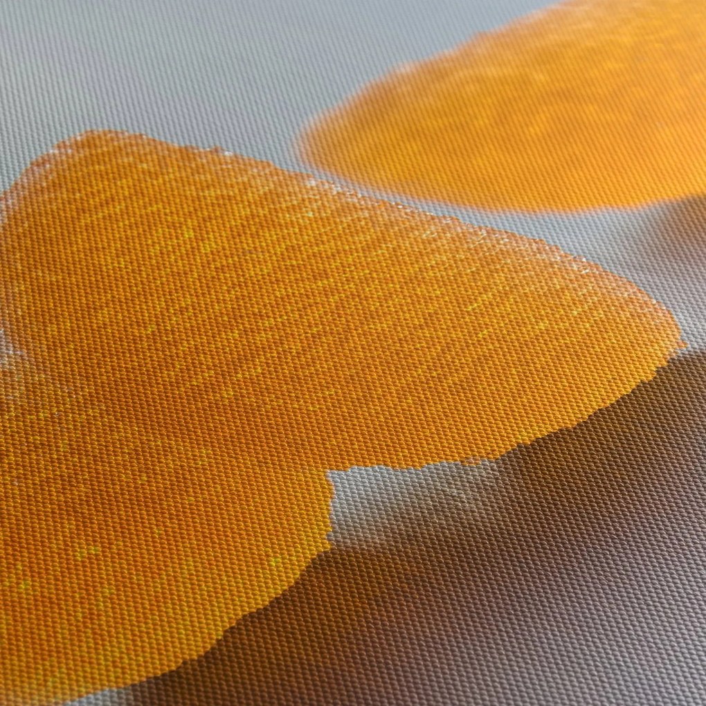 A mandarinok képe (90x60 cm)