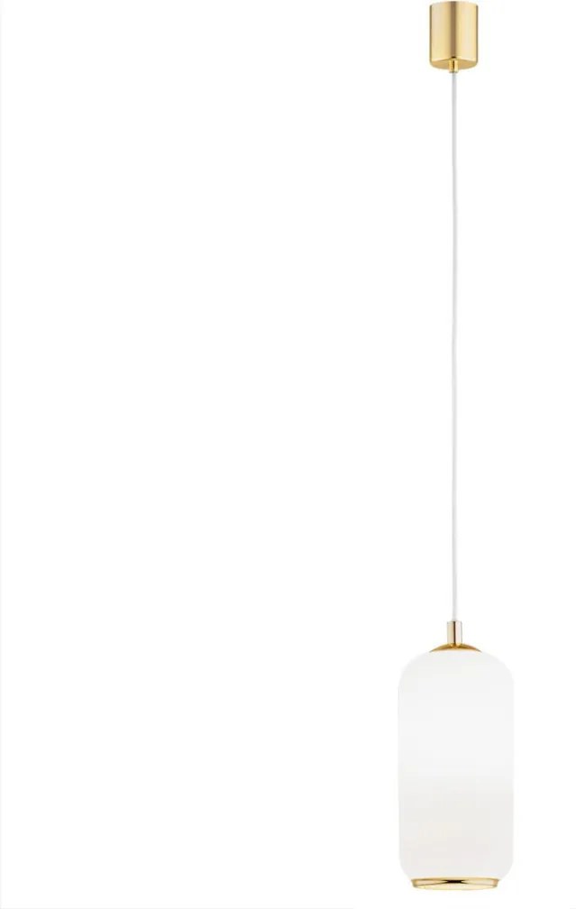 ARGON 4993 PALLADO Egyágú Függesztett Lámpa Fém E27 IP20