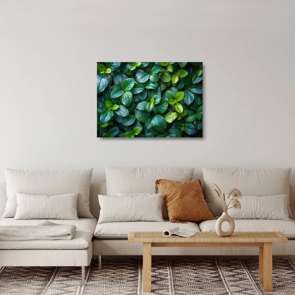 Üveg kép - Zöld növények (70x50 cm)