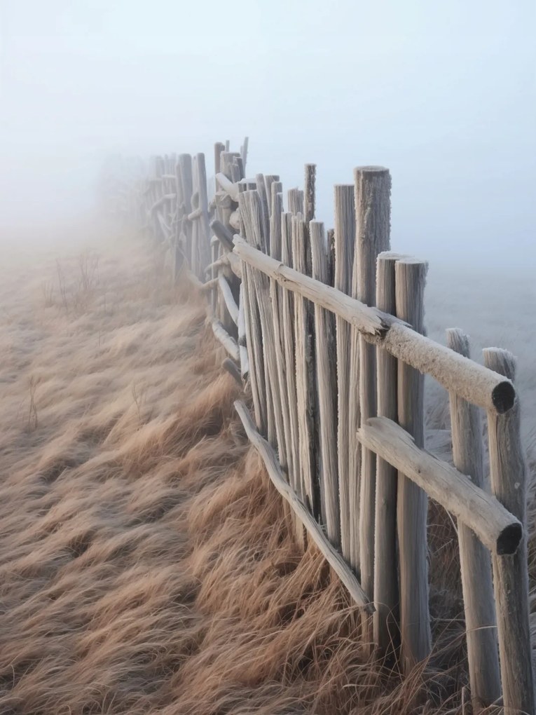 Poszter 60x80cm Köd a dűnék felett