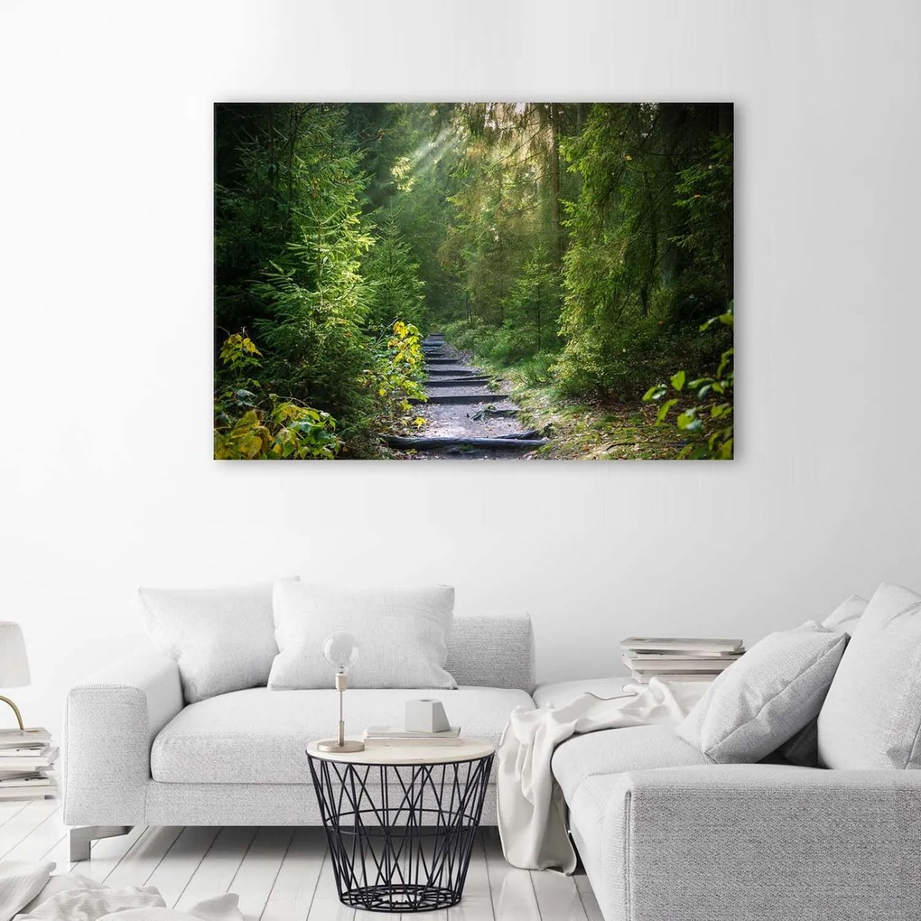 Gario Vászonkép Ösvény egy zöld erdőben Méret: 100 x 70 cm