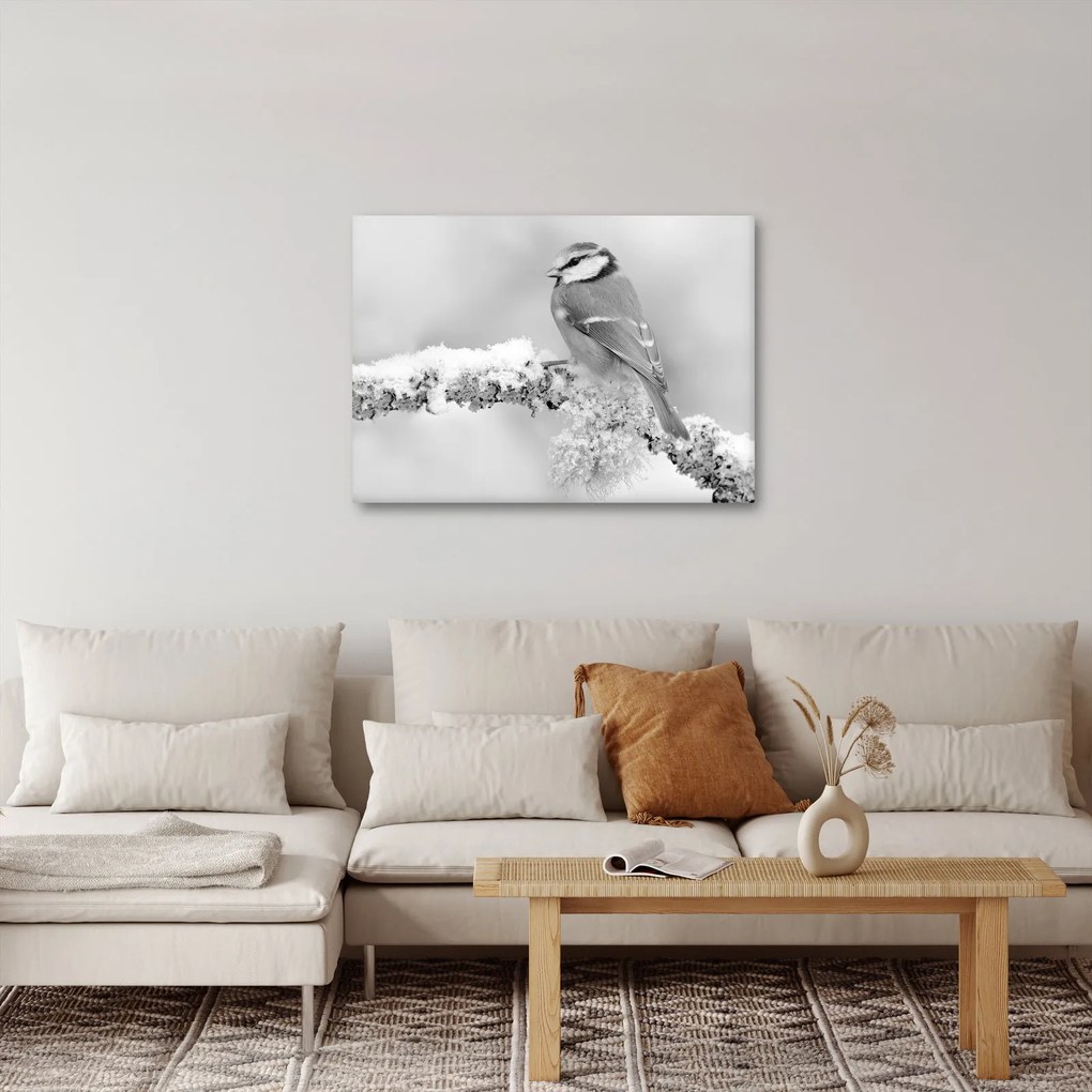 Kép - Egy madár egy ágon (70x50 cm)