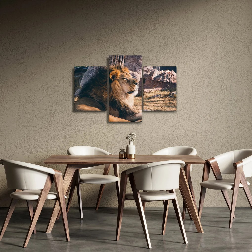 Egy fekvő oroszlán képe (90x60 cm)