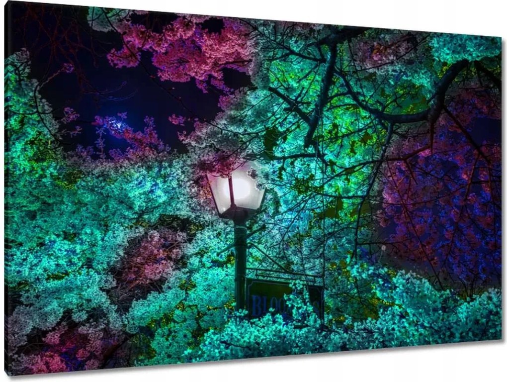 Festmények 120x80 Éjszakai motívum a konyhába