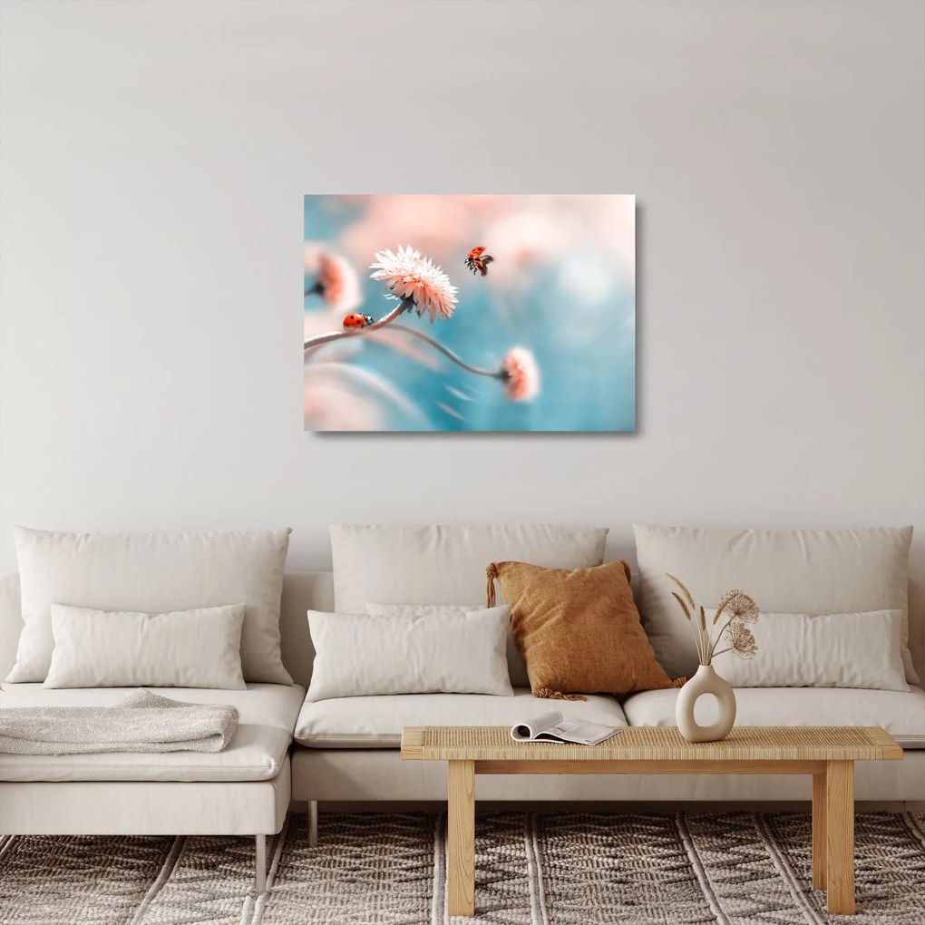 Kép - Katicabogarak a virágon (üvegen) (70x50 cm)