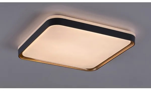 Rabalux 71029 - LED mennyezeti lámpa LIATRIS LED/26W/230V 3000K