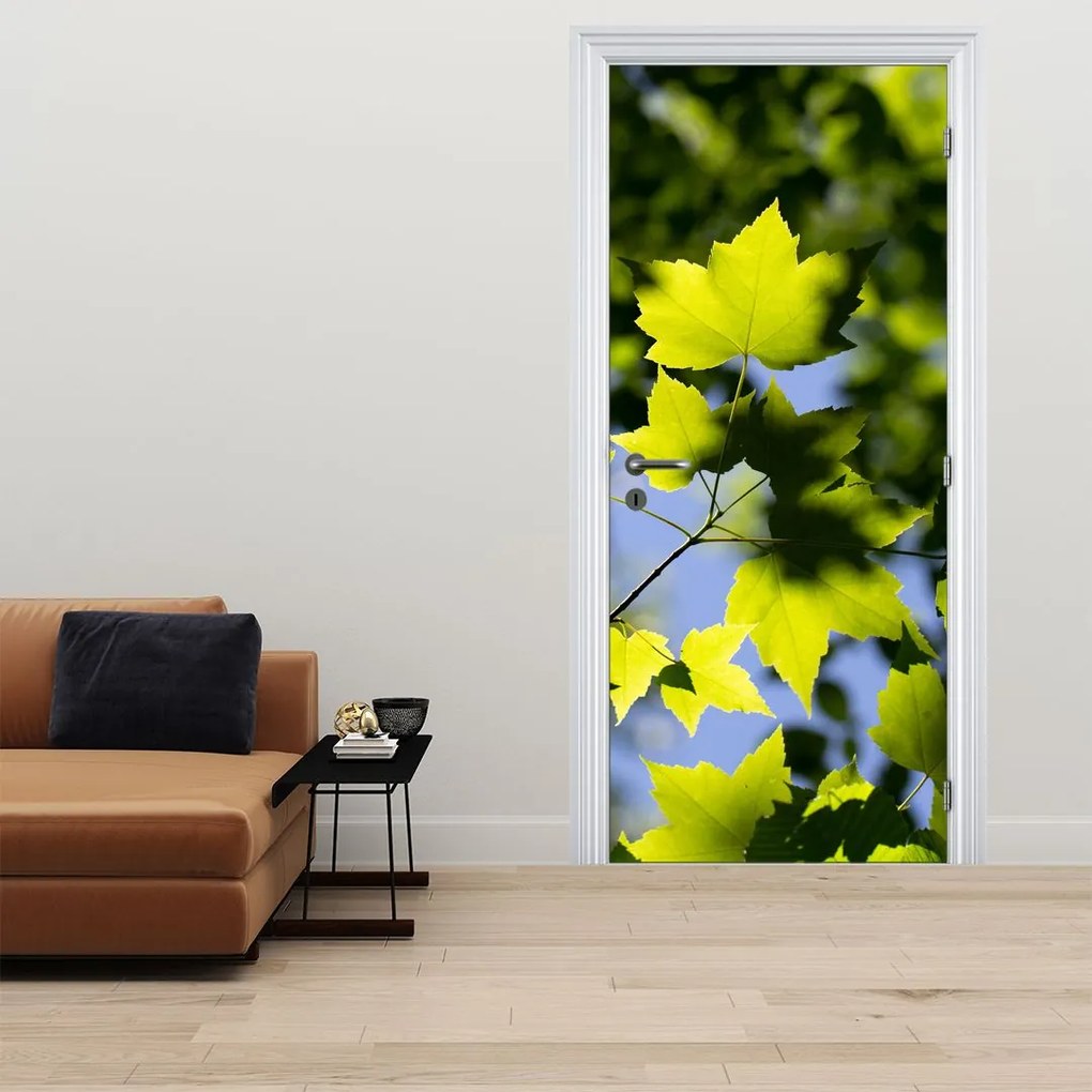 Fotótapéta ajtóra - Juharlevél (95x205cm)