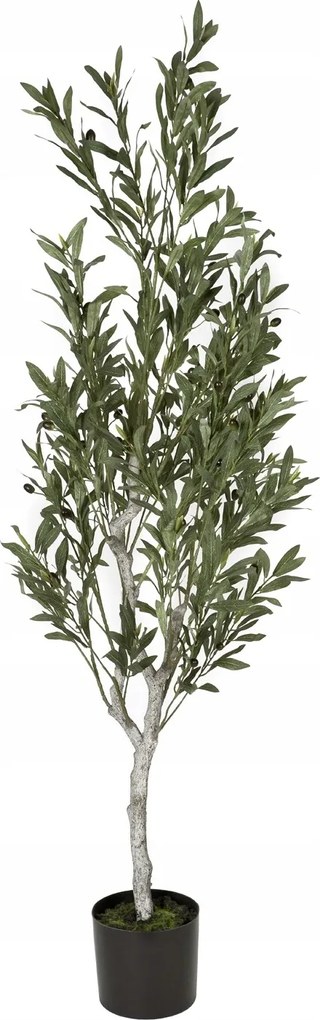 Mesterséges növény Olívafa 150 cm CX0182A
