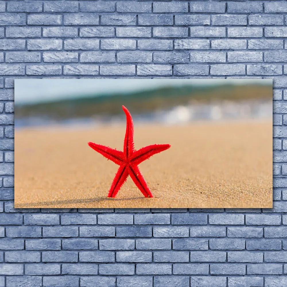 Vászonkép Starfish Beach Art 125x50 cm
