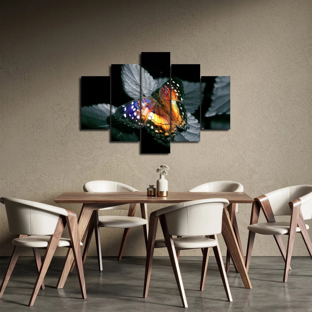 Pillangó képe (150x105 cm)
