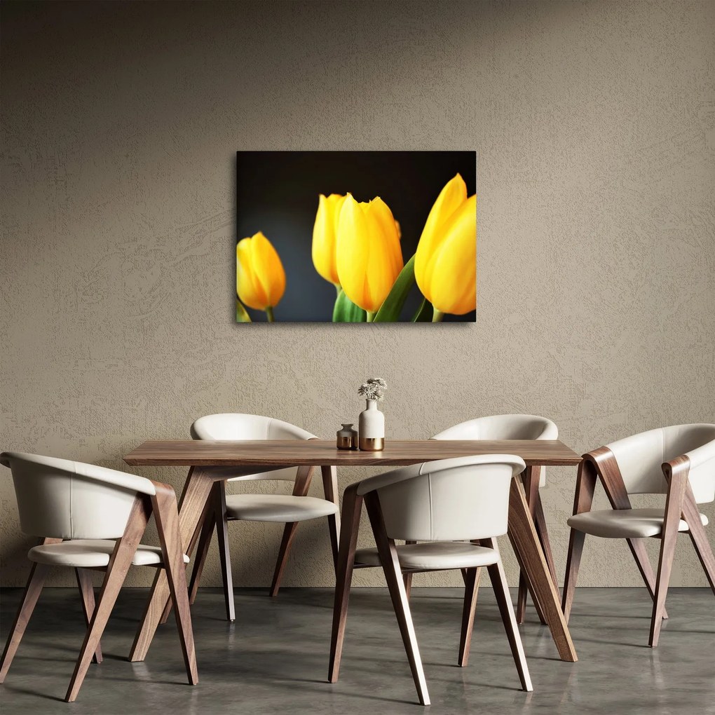 Tulipán képe (70x50 cm)
