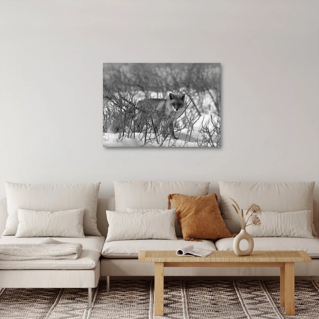 Kép - Róka télen (70x50 cm)