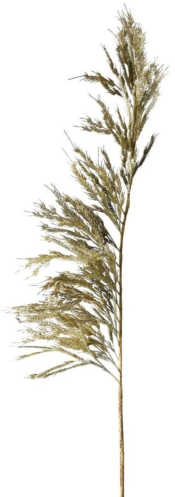 Pampas műnövény