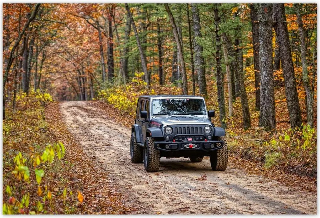 Poszterek 200x135 Jeep Wrangler az erdőben