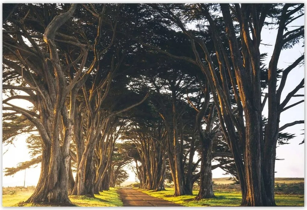 Poszterek 200x135 Tájkép Látvány