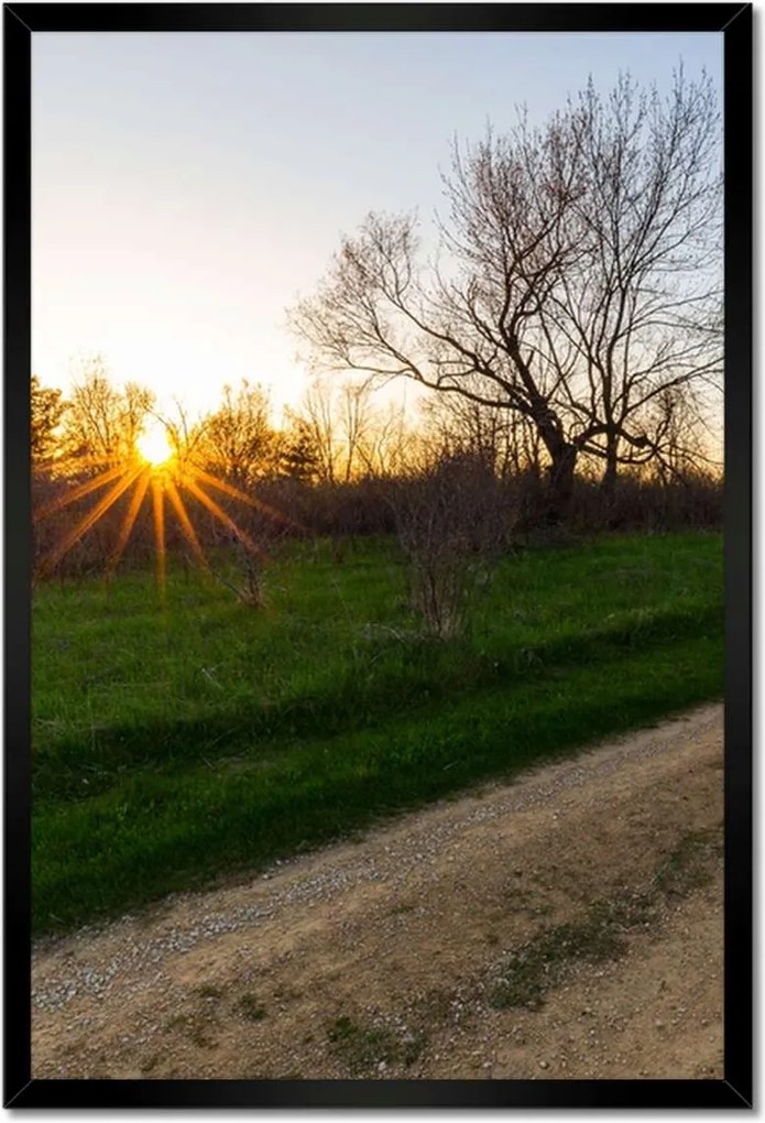 Poszterek keretben 40x60 Mező út Fák Mezők