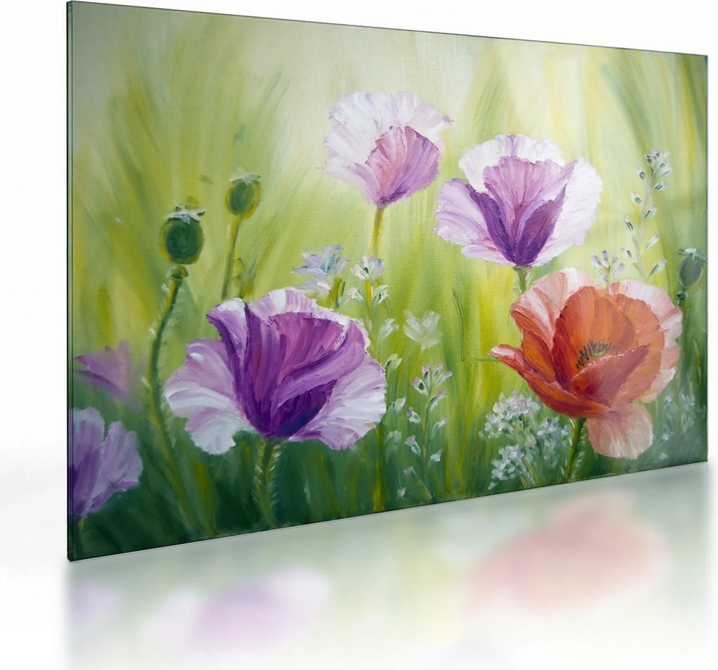 Kép - Pipacsok (üvegen) (70x50 cm)