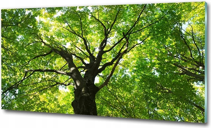 Fotó vászonkép edzett üveg Vadrózsa 100x70