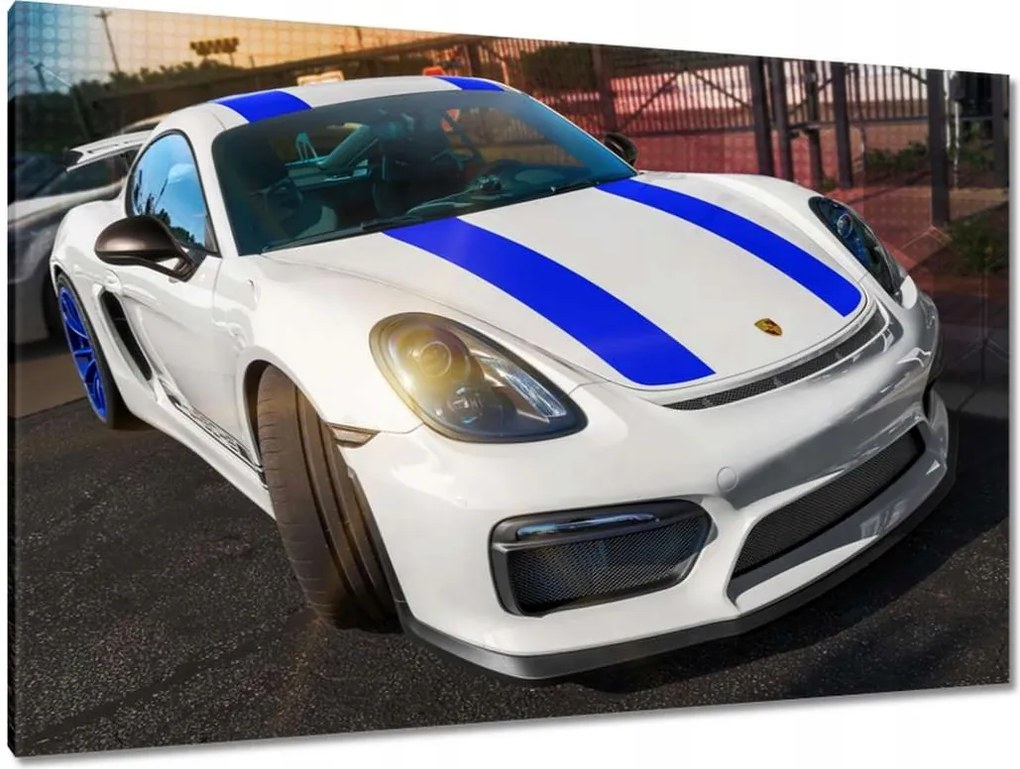 Képek 120x80 Porsche Vayman GT4