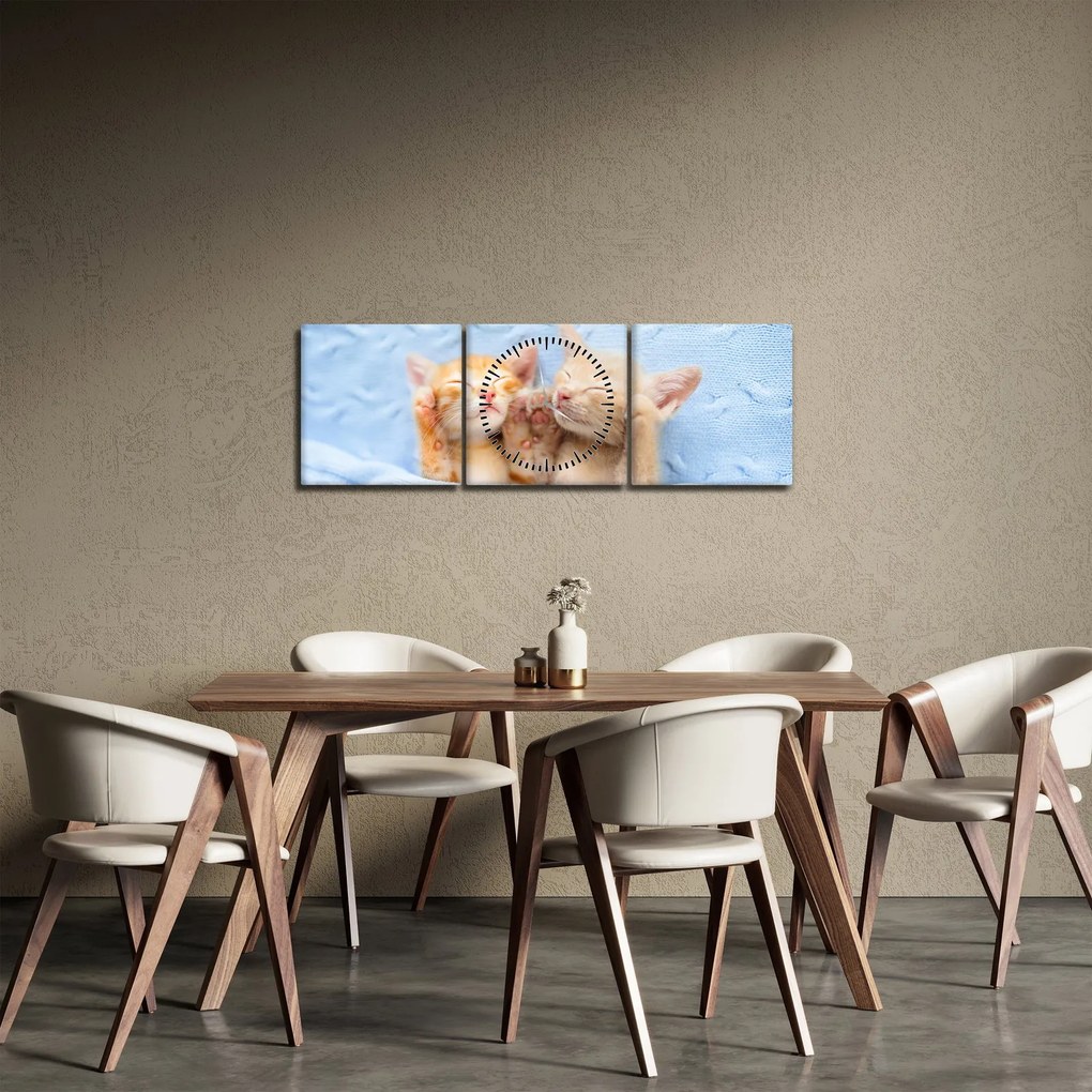 Kép - Alvó cicák (órával) (90x30 cm)