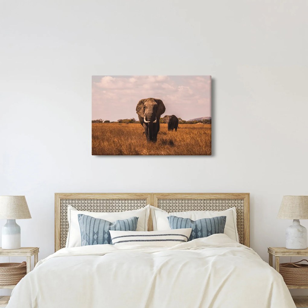 Kép - Az elefánt érkezése (90x60 cm)