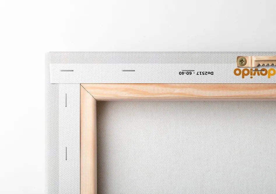 Kép minimalista levél mozgásban
