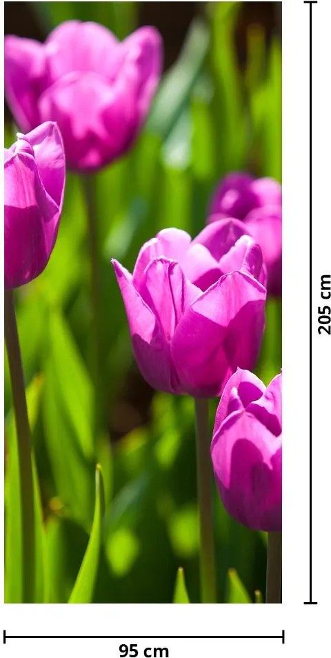 Fotótapéta ajtóra - Tulipánok a réten (95x205cm)