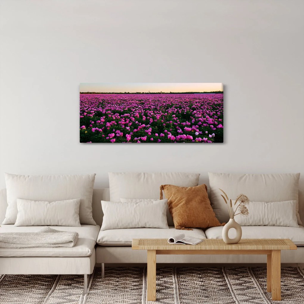 Kép - lila tulipánok rétje (120x50 cm)
