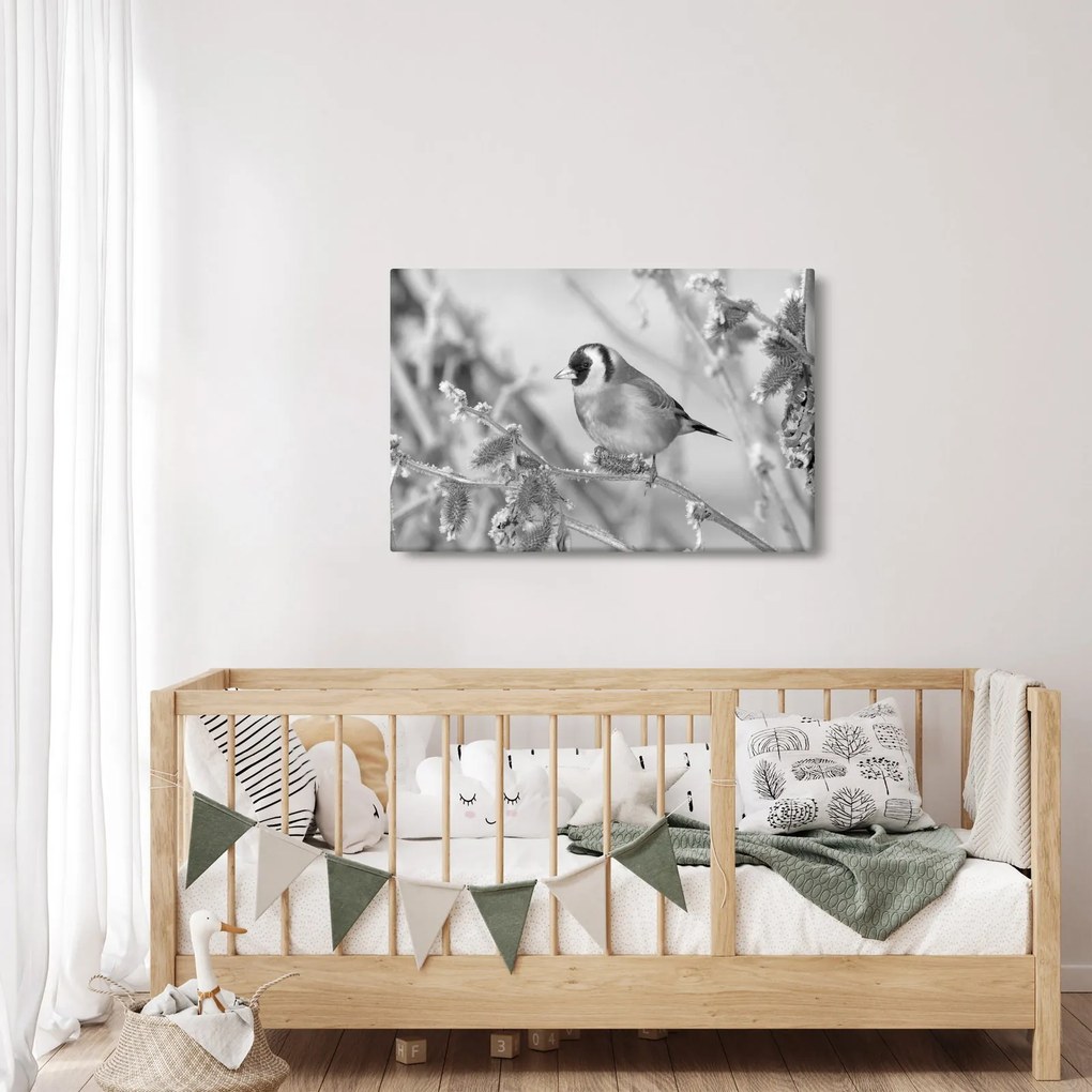 Kép - Egy madár télen (90x60 cm)