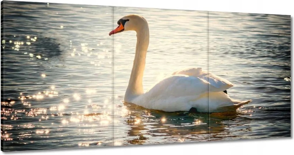 Vászonkép 180x90 Hattyú a tavon