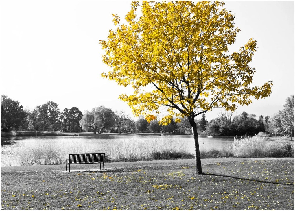 Kép - Pihenés a parkban (70x50 cm)
