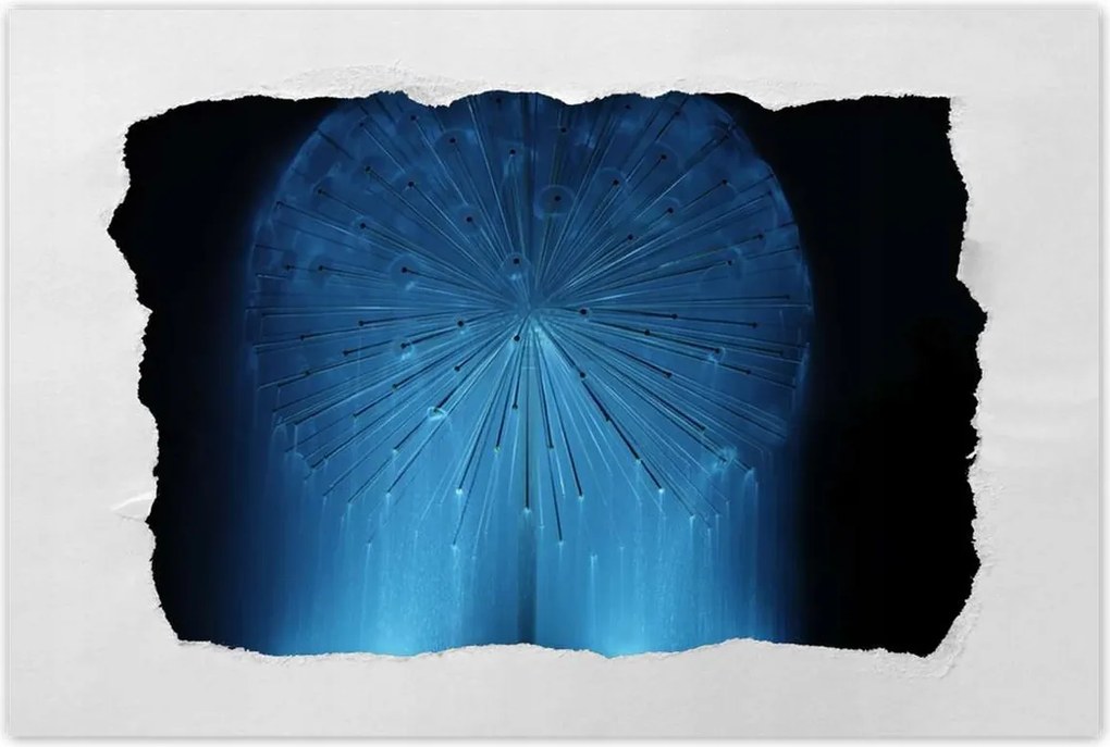 Poszterek 90x60 Pitypang Virág Virágok