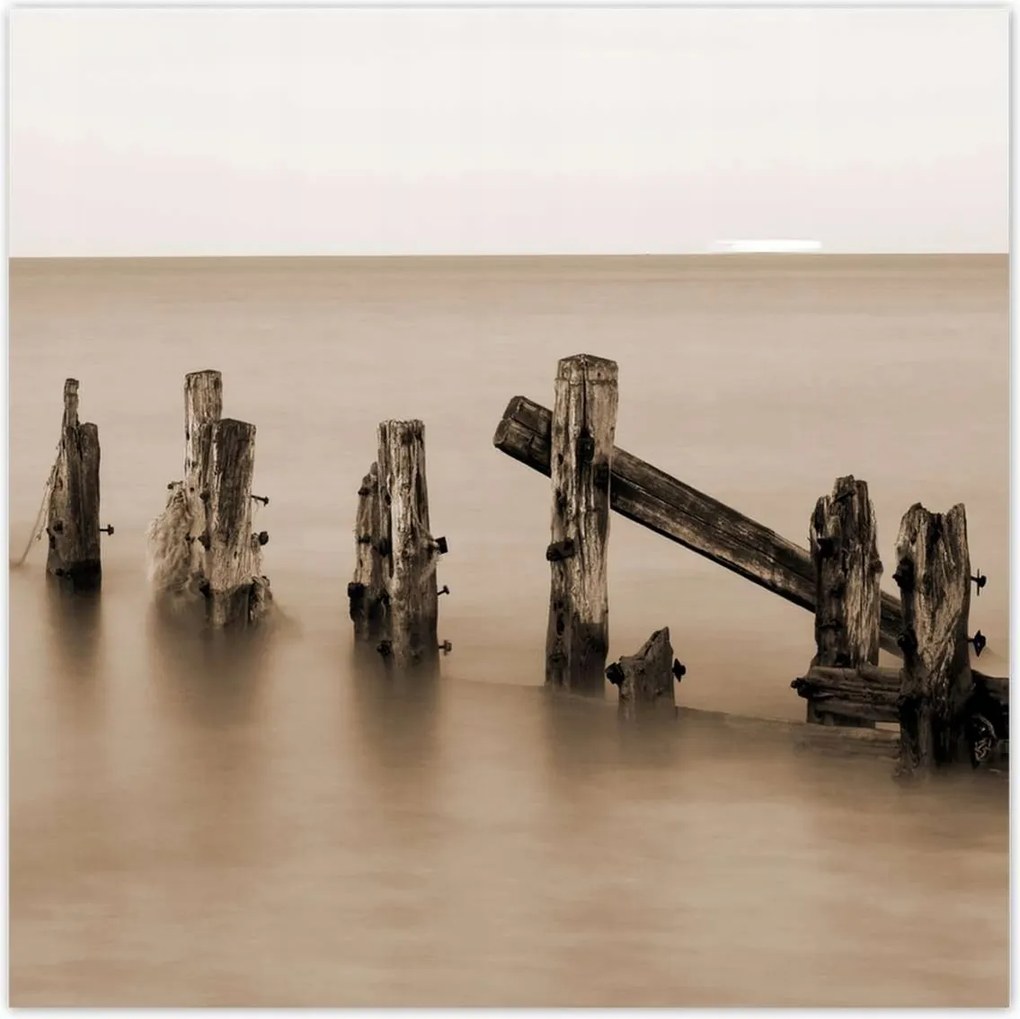 Poszterek 140x140 Hullámtörő fa