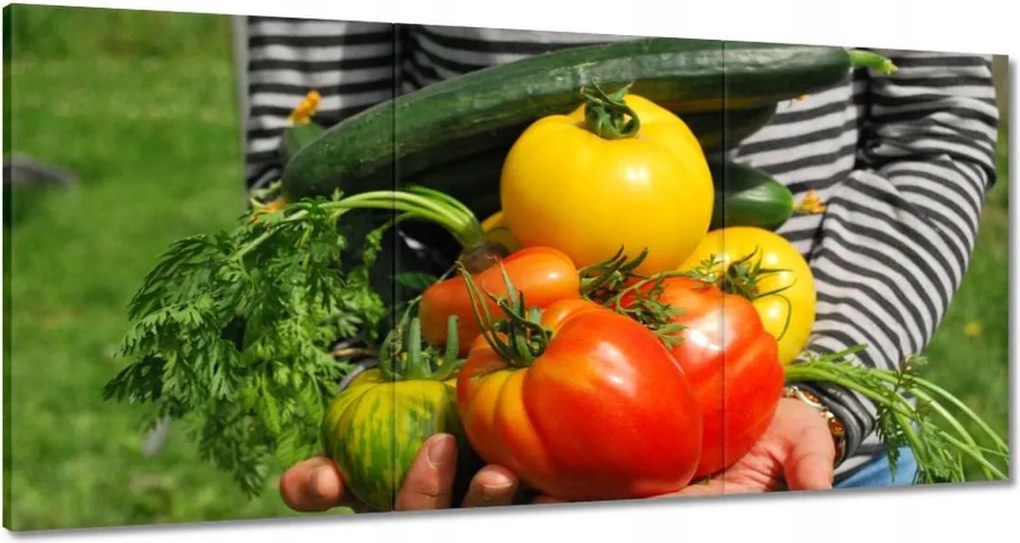 Festmények 180x90 Konyhai képek Forradalmak