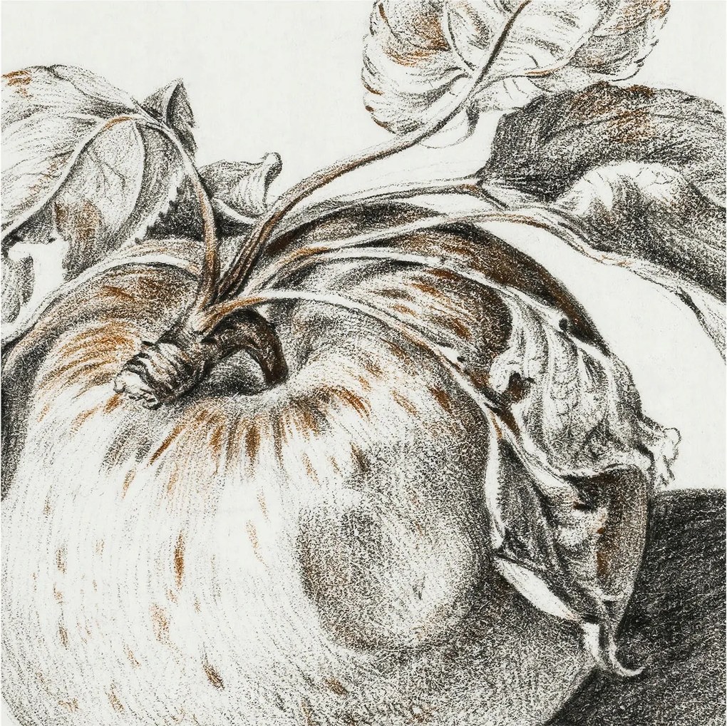 Fotótapéta Flizelin tapéta Hálószoba és Nappali Alma levelek 250x250