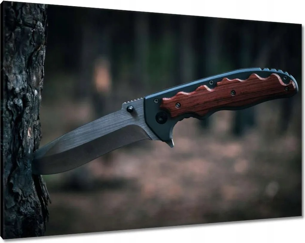 Vászonkép 100x70 Kés a fa kérgébe szúrva